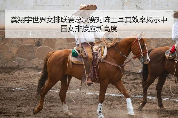 龚翔宇世界女排联赛总决赛对阵土耳其效率揭示中国女排接应新高度