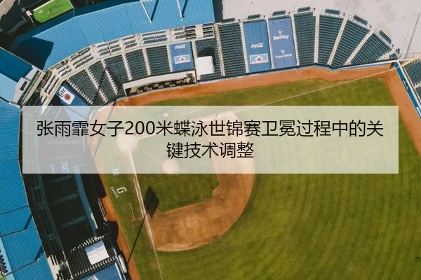 张雨霏女子200米蝶泳世锦赛卫冕过程中的关键技术调整
